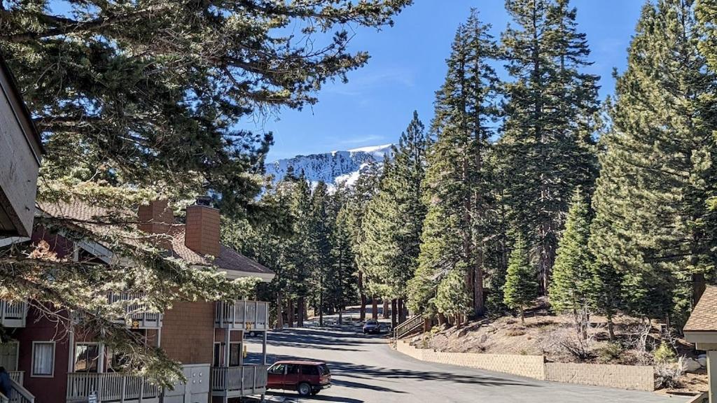 Cozy Condo Walking Distance To Village And Gondola W/ Pool/ Jacuzzi Sleeps 4. Mammoth Lakes Kültér fotó